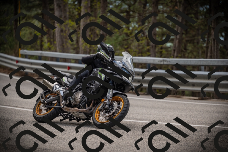 20250517_1256_am_-17