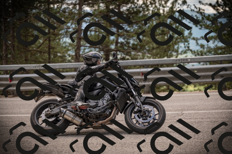 20250517_1256_am_-24