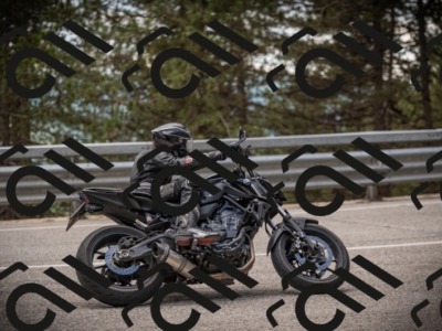 20250517_1256_am_-25