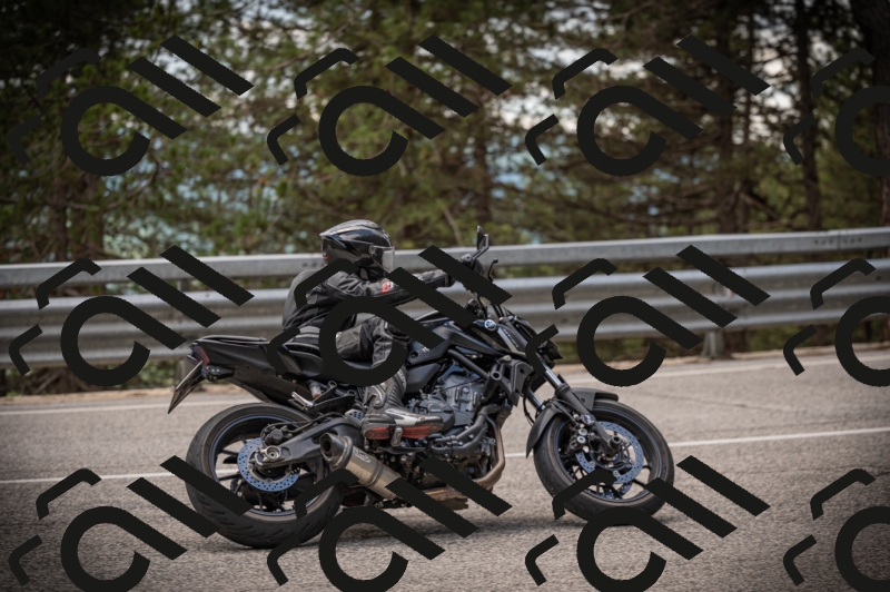 20250517_1256_am_-25