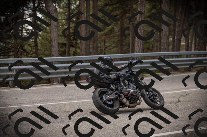 20250517_1256_am_-26