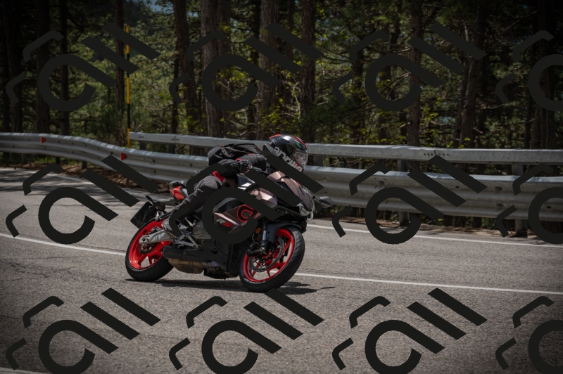 20250517_1258_am_-17