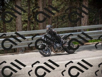 20250517_1258_am_-22