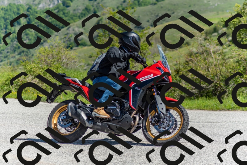 202505171040-DSC_6701_c2