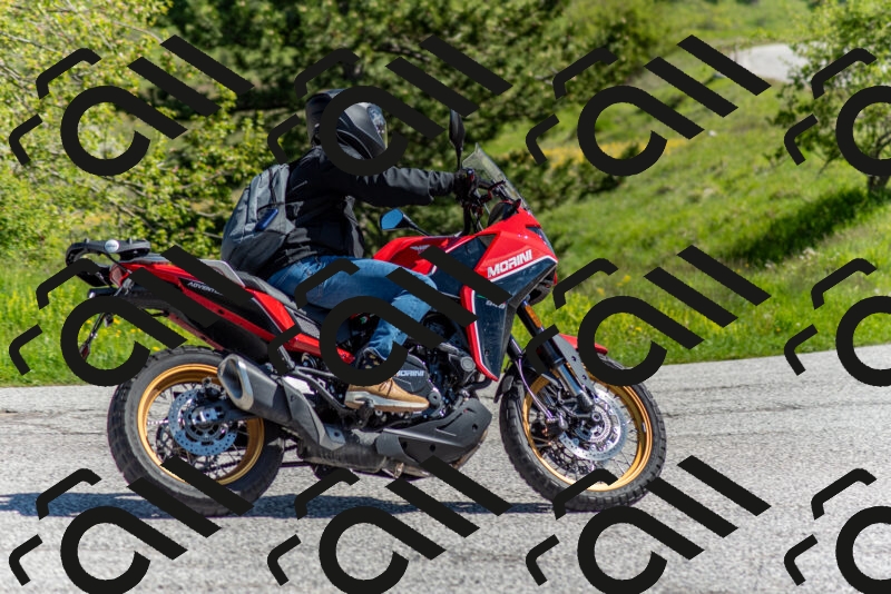 202505171040-DSC_6702_c2