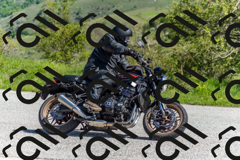 202505171043-DSC_6711_c2