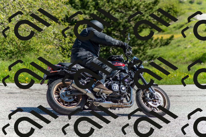 202505171043-DSC_6712_c2