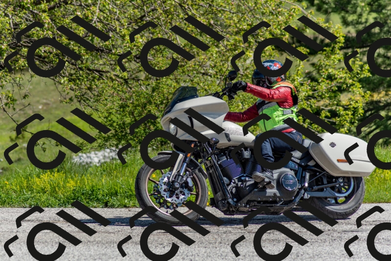 202505171046-DSC_6727_c2