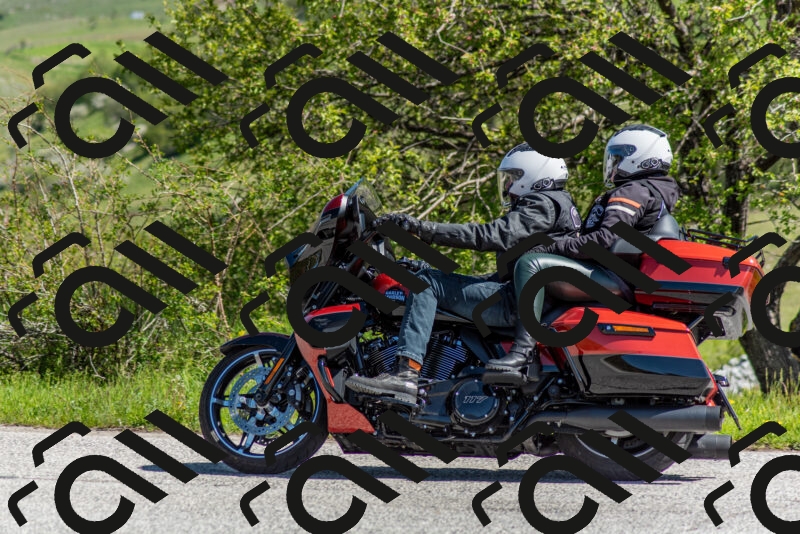 202505171046-DSC_6735_c2