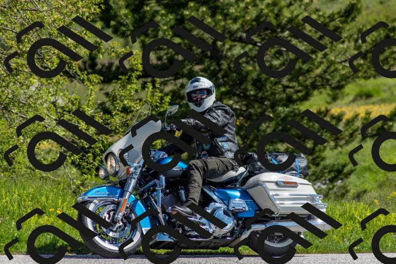 202505171046-DSC_6739_c2