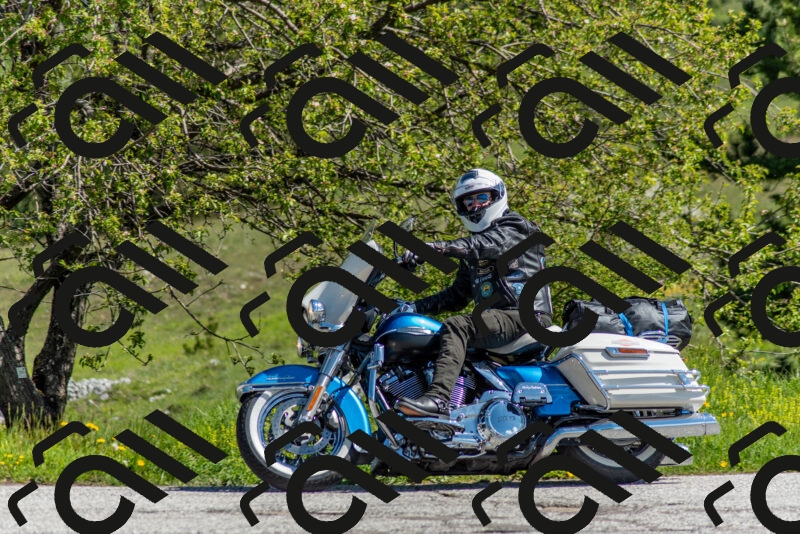 202505171046-DSC_6740_c2