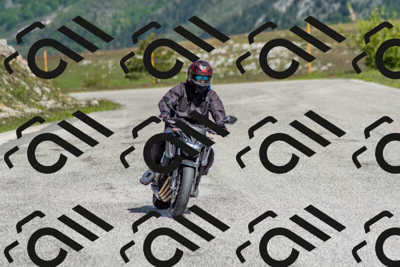 202505171101-DSC_6763_c2