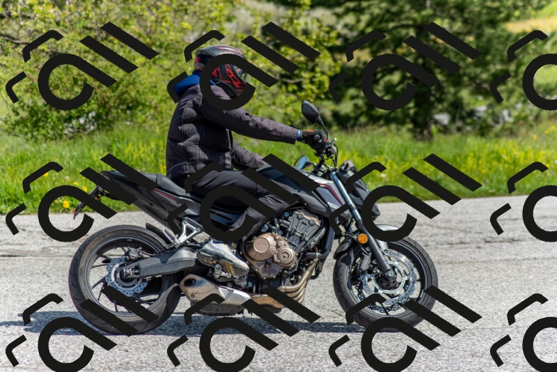 202505171101-DSC_6765_c2