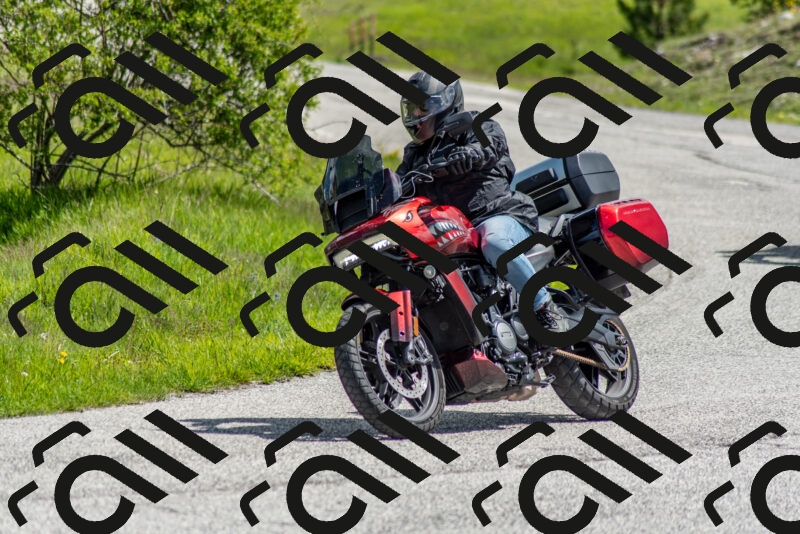 202505171112-DSC_6781_c2