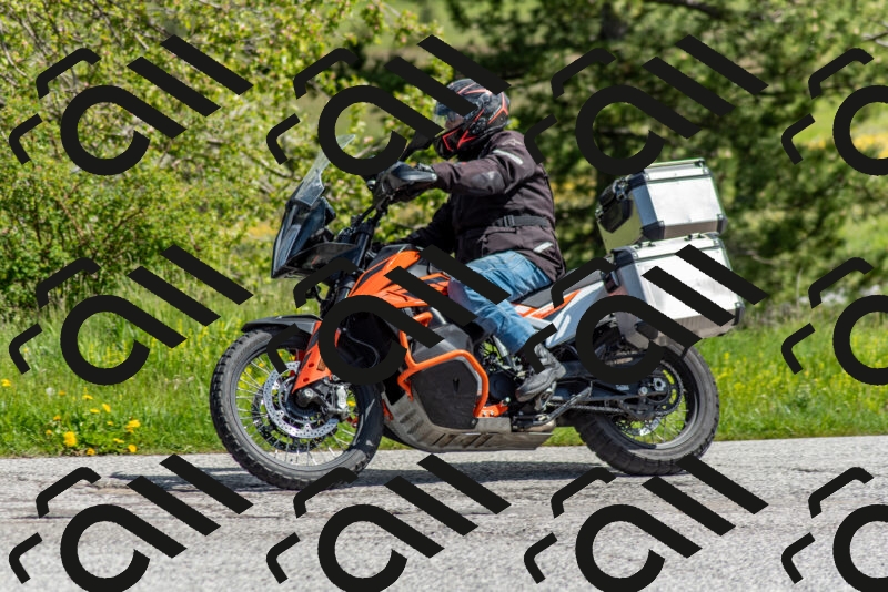 202505171113-DSC_6788_c2