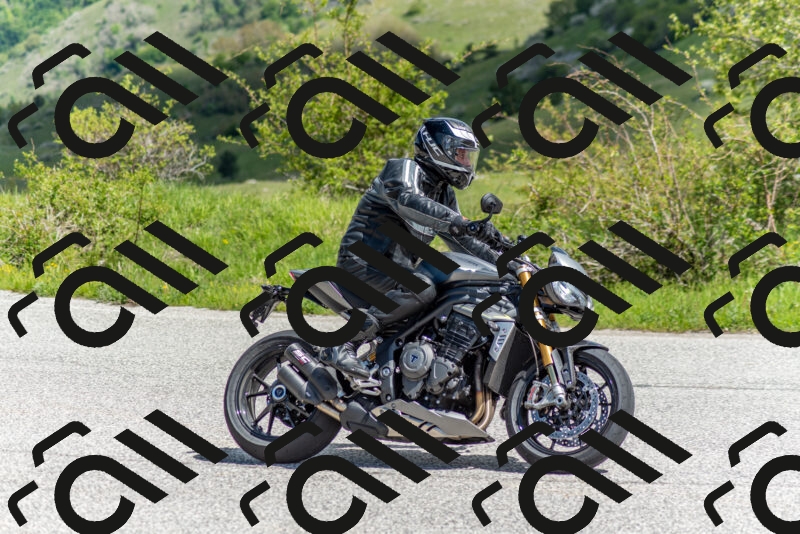 202505171117-DSC_6801_c2