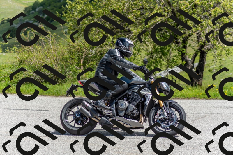 202505171117-DSC_6802_c2