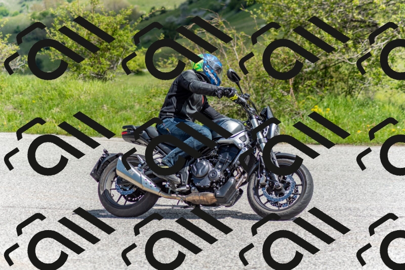 202505171117-DSC_6806_c2