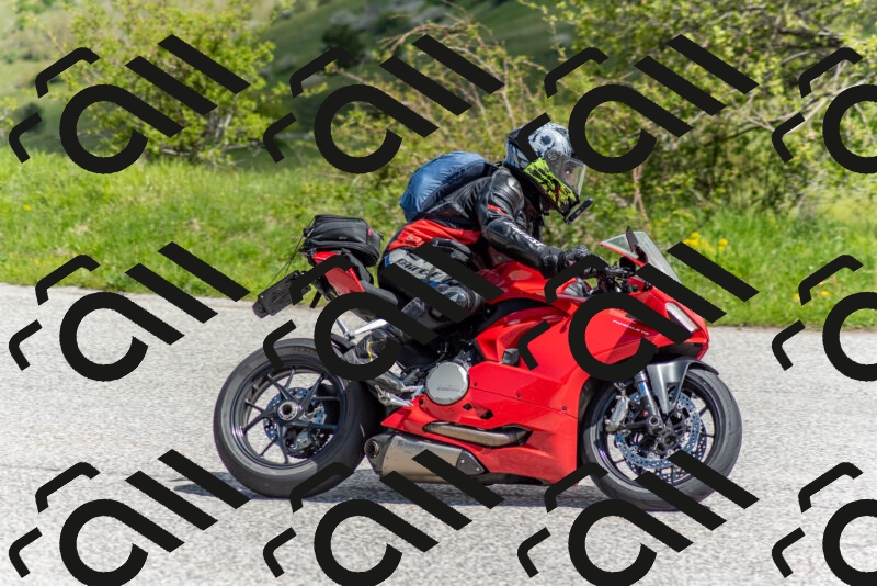 202505171119-DSC_6817_c2