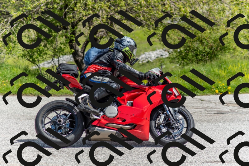 202505171119-DSC_6818_c2