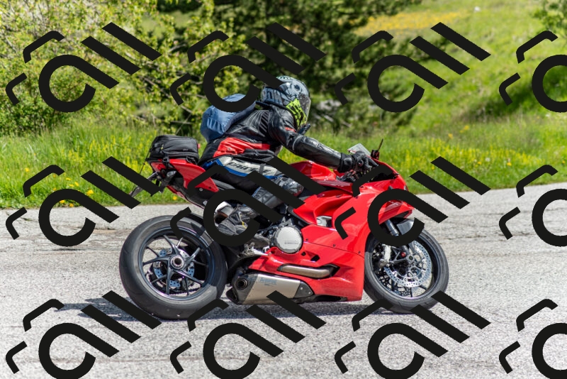 202505171119-DSC_6819_c2