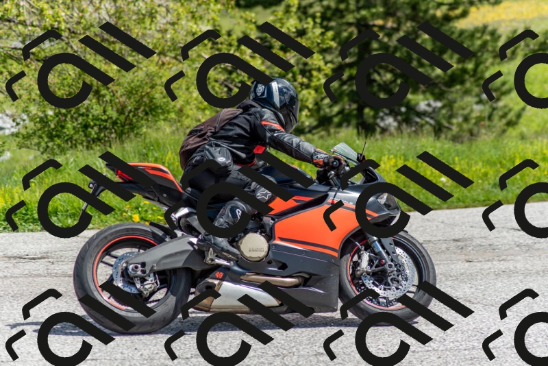 202505171119-DSC_6823_c2