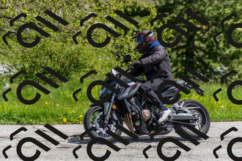 202505171123-DSC_6829_c2