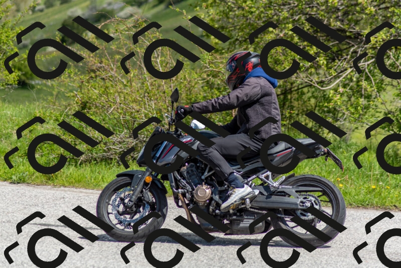 202505171123-DSC_6830_c2