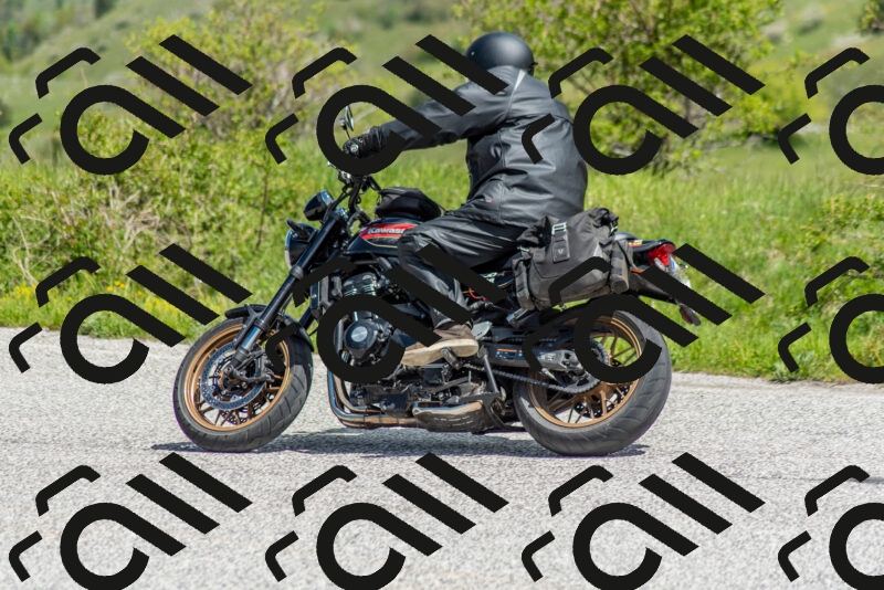 202505171130-DSC_6840_c2