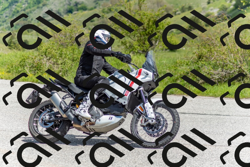 202505171131-DSC_6853_c2