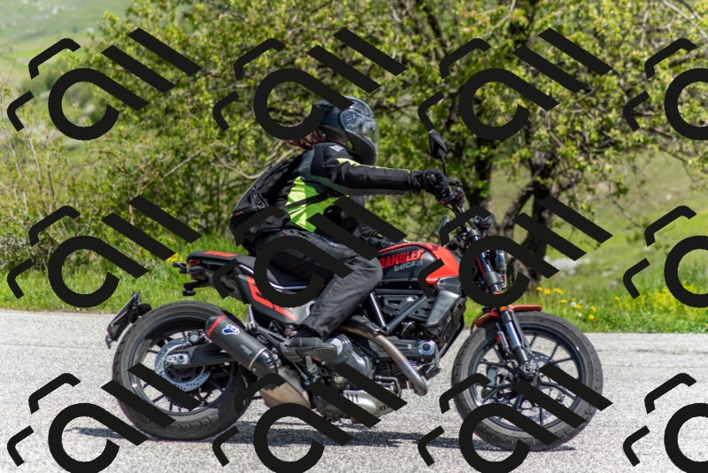 202505171139-DSC_6865_c2