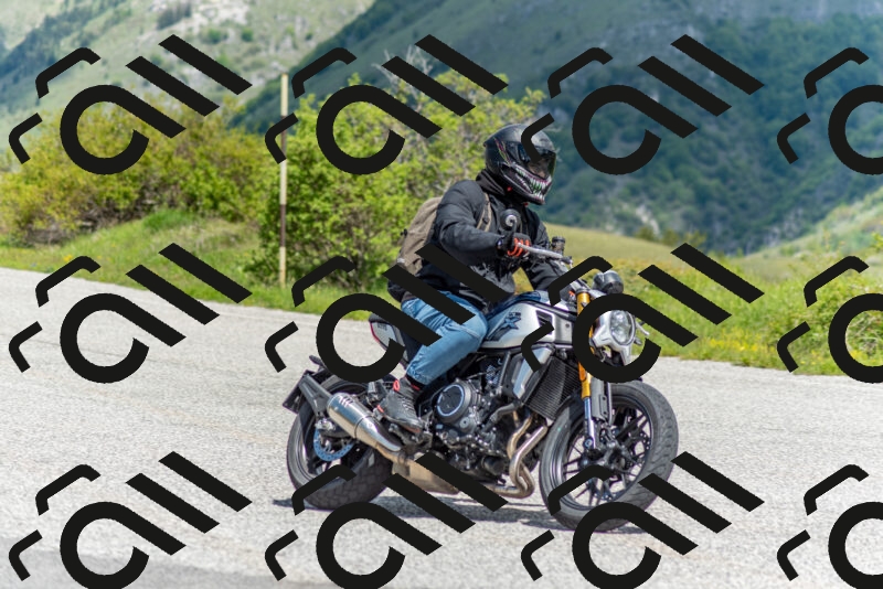 202505171139-DSC_6870_c2