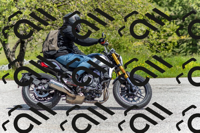 202505171139-DSC_6873_c2