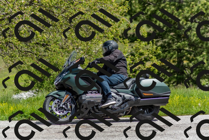 202505171143-DSC_6880_c2