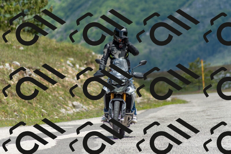 202505171147-DSC_6899_c2