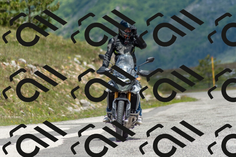 202505171147-DSC_6900_c2