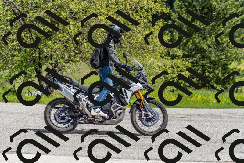 202505171148-DSC_6903_c2