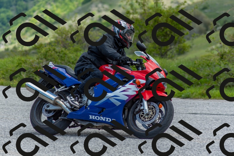 202505171151-DSC_6919_c2