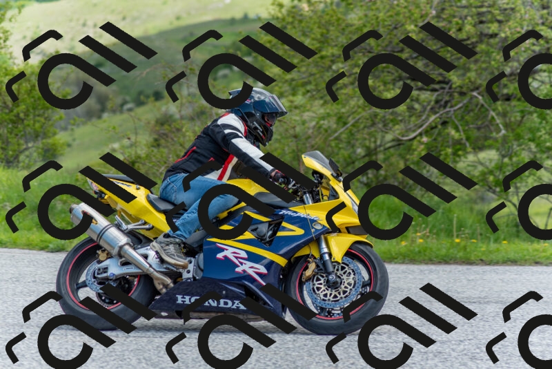 202505171151-DSC_6928_c2