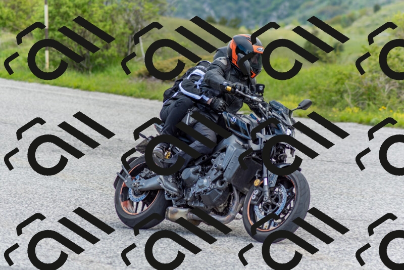 202505171155-DSC_6931_c2