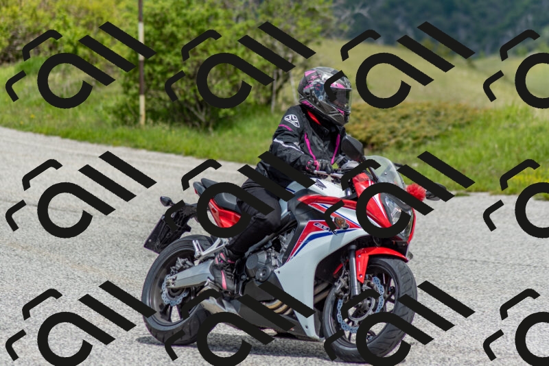 202505171158-DSC_6939_c2