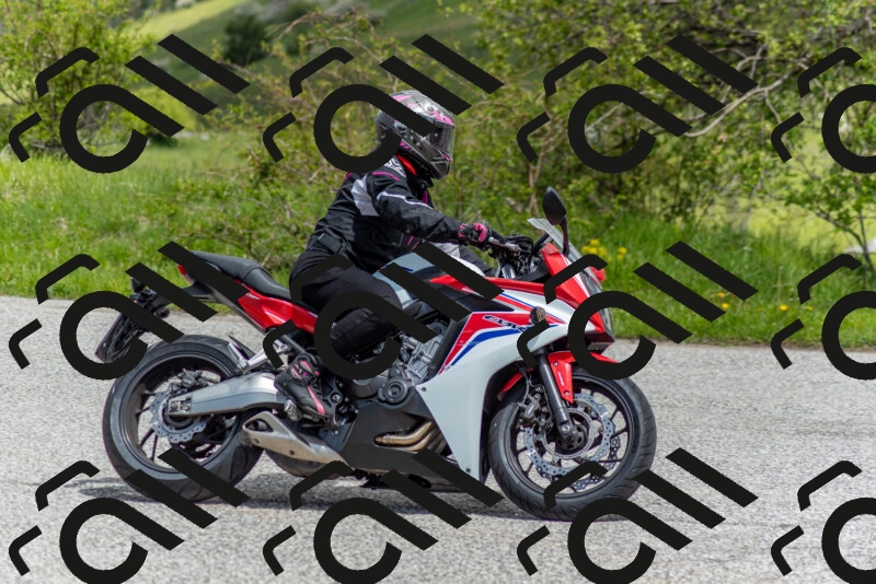 202505171158-DSC_6940_c2