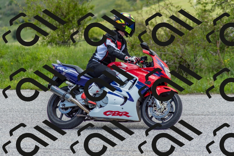 202505171200-DSC_6950_c2