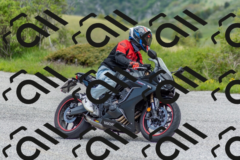 202505171200-DSC_6952_c2