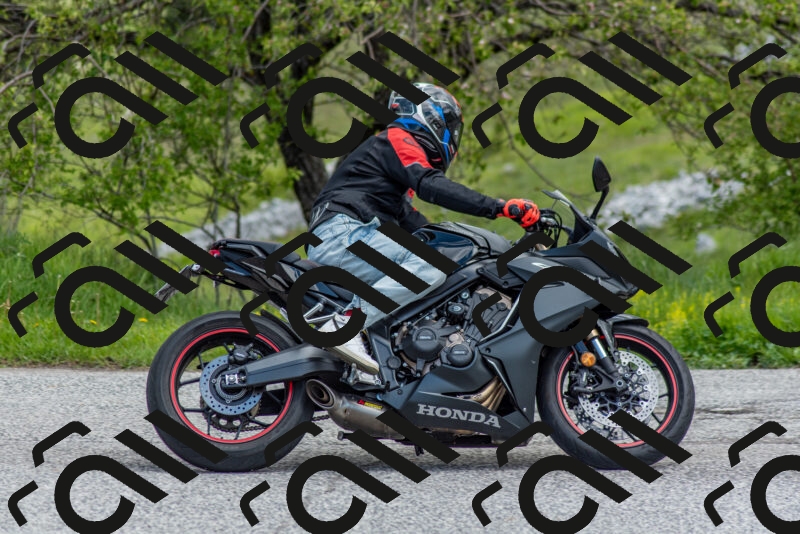 202505171200-DSC_6953_c2