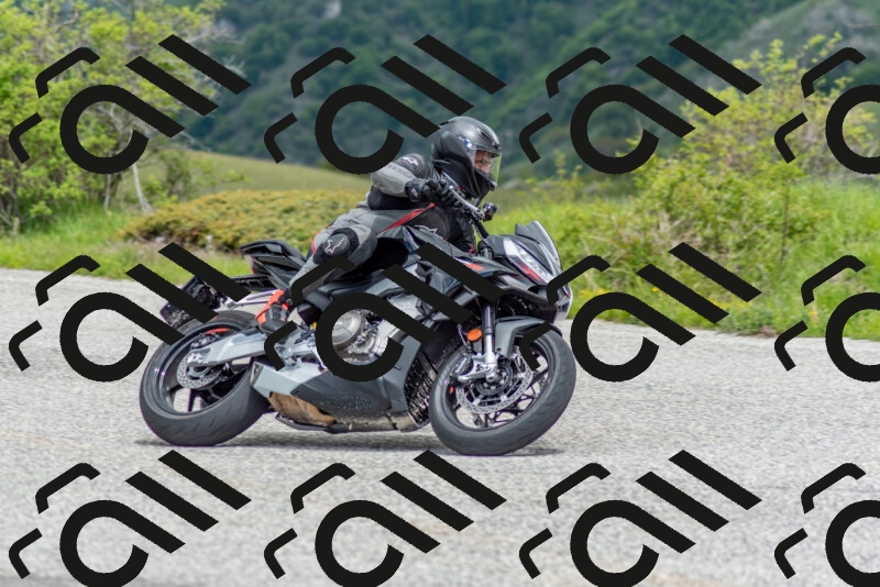 202505171211-DSC_6963_c2