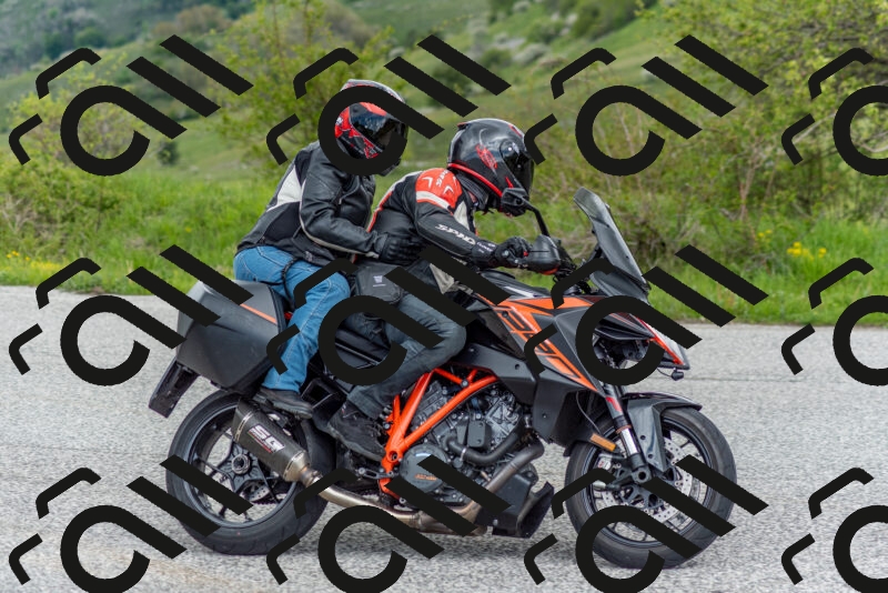 202505171216-DSC_6973_c2