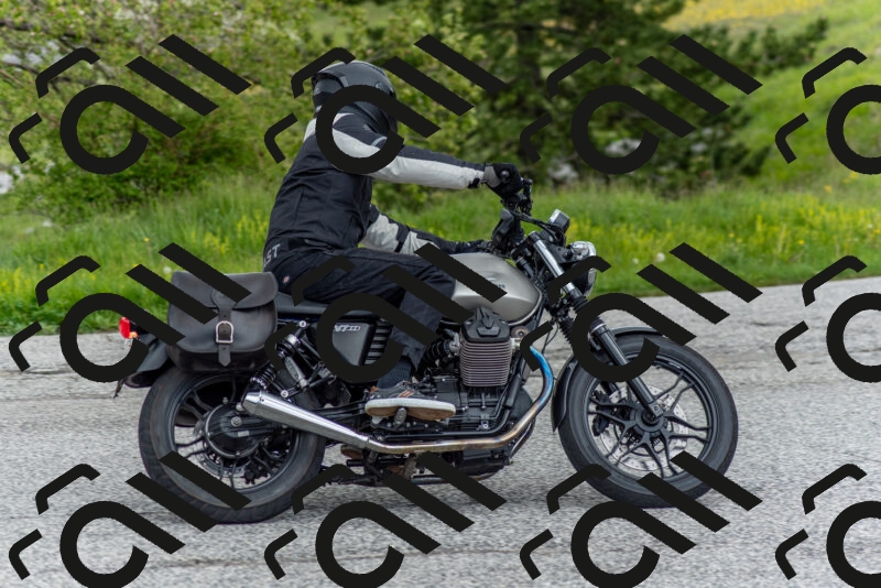 202505171217-DSC_6977_c2