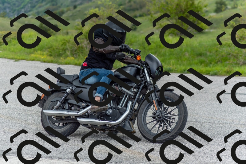 202505171217-DSC_6981_c2