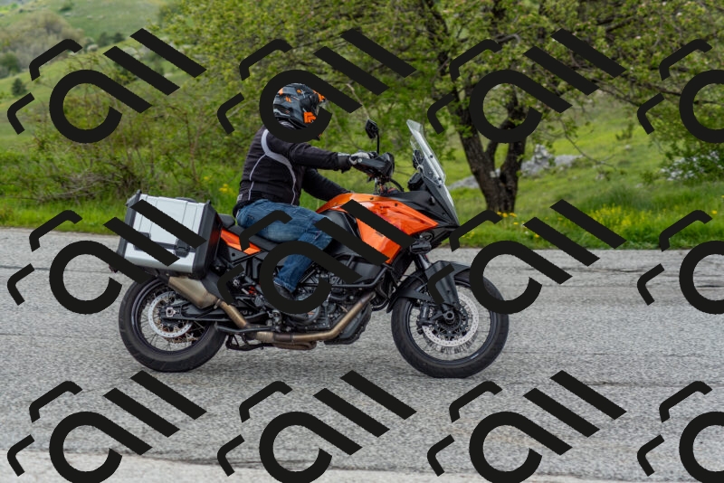 202505171225-DSC_6999_c2